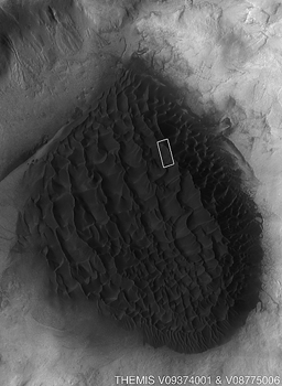 Mosaic of THEMIS VIS images showing sand dune field with location of MOC view of dune gullies indicated by a white box.