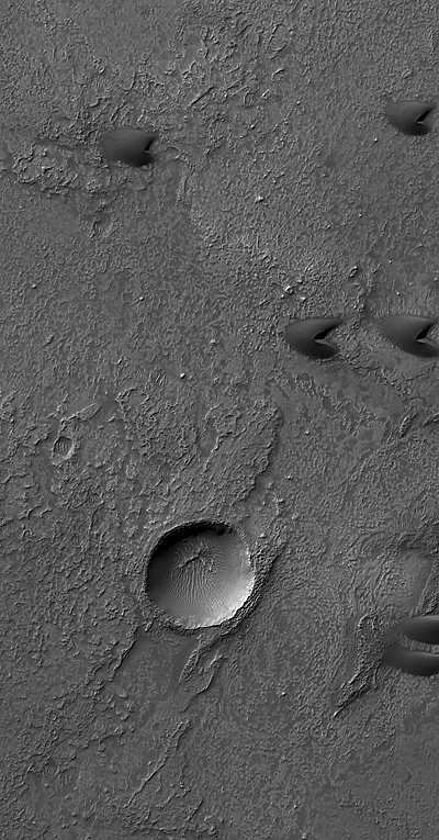 Portions of 6 small, dark barchan dunes.