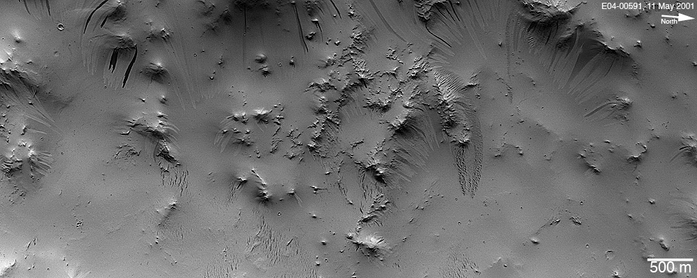 Light and dark slope streaks among hillslopes in central Arabia Terra.
